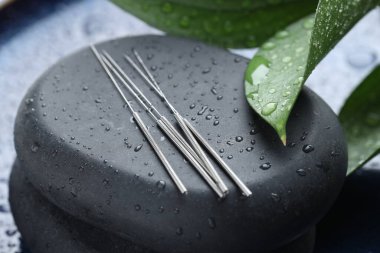 Akupunktur iğneleri, ıslak spa taşları ve mavi tepside yapraklar, yakın çekim.