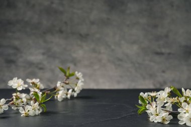 Arka planda siyah desenli masa üzerinde güzel çiçekleri olan dallar. Tasarım için boşluk