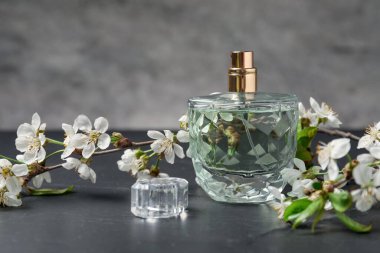 Bir şişe aromatik parfüm ve gri arka planda güzel çiçekli dallar, yakın plan.