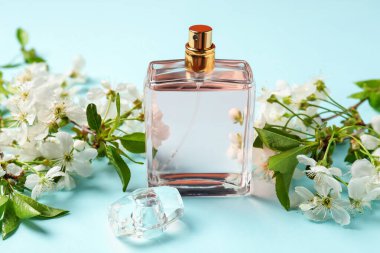 Bir şişe aromatik parfüm ve açık mavi arka planda güzel çiçekli dallar, yakın plan.