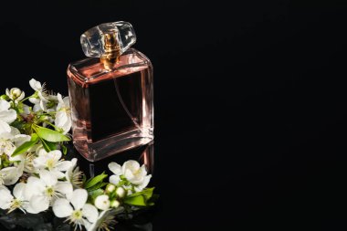 Aromatik parfüm ve siyah ayna yüzeyinde güzel çiçekler, yakın plan. Metin için boşluk