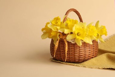 Bej arka planda sepetteki güzel nergisler. Metin için boşluk