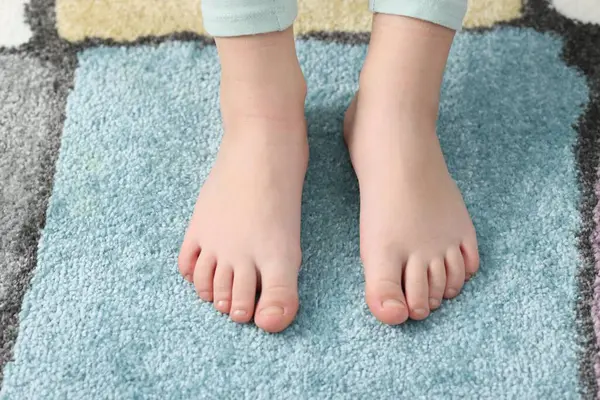 Evdeki yumuşak halıdaki kız, manzaranın üstünde.