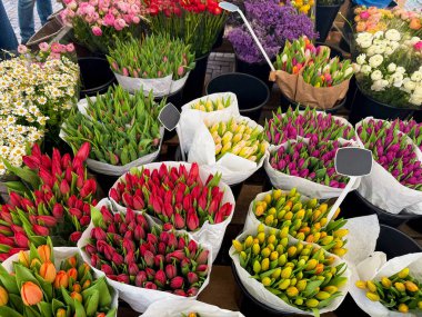 Çiçekçide çeşitli güzel çiçekler var, manzaranın üstünde.