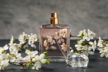 Bir şişe aromatik parfüm ve gri arka planda güzel çiçekli dallar, yakın plan.