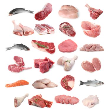 Balık ve et. Beyaz arka planda farklı ham ürünler, kolaj