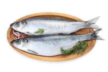 Beyaz arka planda tuzlu ringa balığı, soğan ve dereotu.