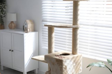 Evde kazı kazıkları olan kedi ağacı.