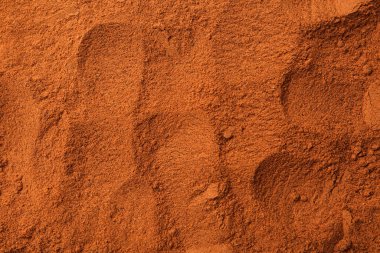 Süper yemek. Arkaplan olarak tarçın tozu, üst görünüm