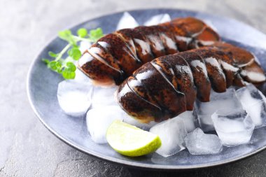 Çiğ ıstakoz kuyruğu, mikro yeşillikler, yeşil masada limon ve buz, yakın plan.