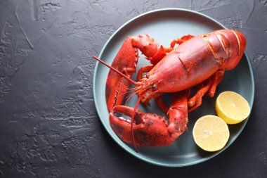 Siyah masa üzerinde limon parçaları olan lezzetli haşlanmış ıstakoz. Metin için boşluk