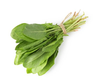 Beyaz, üst manzara izole taze yeşil kuş yaprakları