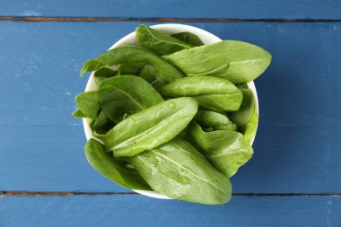 Taze yeşil kuş yaprakları kasede mavi ahşap masada, üst tarafta.