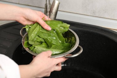 Kadın musluk suyunun altında taze kuş yapraklarını yıkıyor. Lavabonun üstünde, yakın plan.