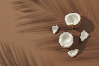 Taze hindistan cevizi ve bej arka planda tropikal palmiye gölgesi, düz yatış. Metin için boşluk