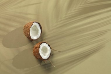 Taze hindistan cevizi ve açık yeşil arka planda tropikal palmiye gölgesi, üst manzara. Metin için boşluk