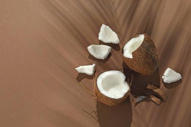 Taze hindistan cevizi ve bej arka planda tropikal palmiye gölgesi, düz yatış. Metin için boşluk