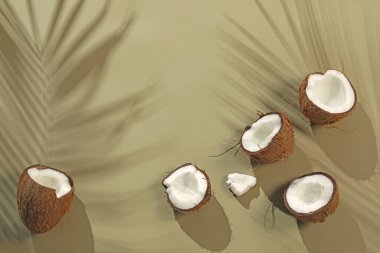 Taze hindistan cevizleri ve açık yeşil arka planda tropikal palmiyelerin oluşturduğu gölgeler düzleşir. Metin için boşluk