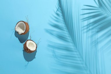 Açık mavi arka planda tropikal palmiye ağacından taze hindistan cevizi ve gölge, üst manzara. Metin için boşluk