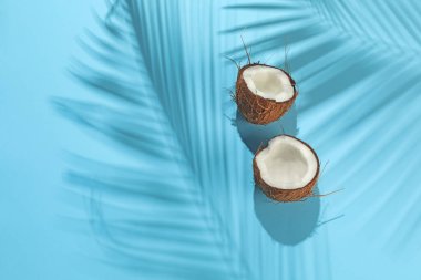 Açık mavi arka planda tropikal palmiye ağacından taze hindistan cevizi ve gölge, üst manzara. Metin için boşluk