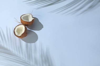 Taze hindistan cevizi ve açık gri arka planda tropikal palmiye gölgesi, üst manzara. Metin için boşluk
