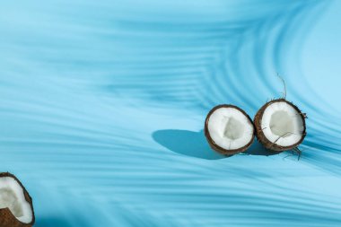 Taze hindistan cevizleri ve açık mavi arka planda tropikal palmiyelerin oluşturduğu gölge. Metin için boşluk