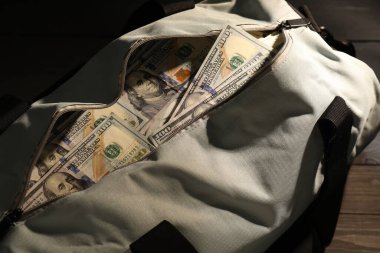 Üstünde dolar banknotları olan bir çanta.