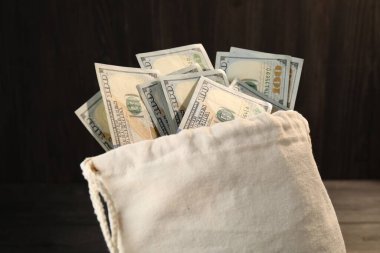 Bulanık arka planda dolar banknotları olan para çantası, yakın plan