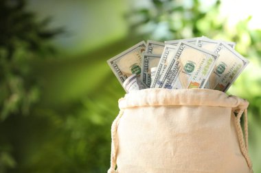 Bulanık yeşil arka planda dolar banknotları olan para çantası, yakın plan. Metin için boşluk