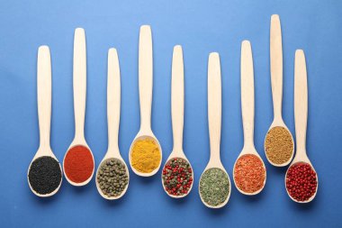 Mavi arka planda kaşıklardaki farklı aromatik baharatlar.
