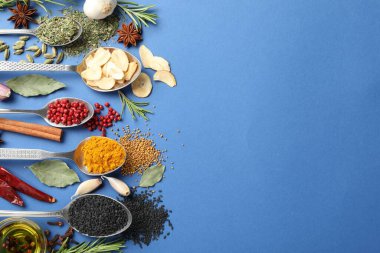 Mavi arka planda farklı aromatik baharatlar var. Metin için boşluk
