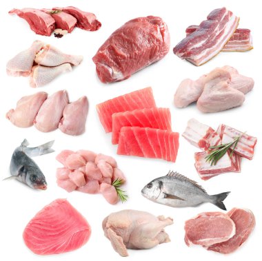 Balık ve et. Beyaz arka planda farklı ham ürünler, kolaj
