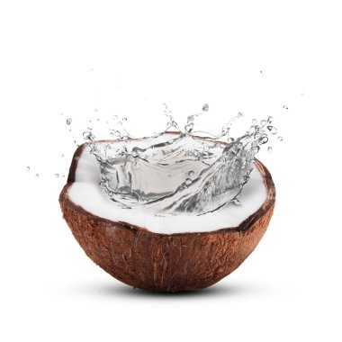 Hindistan cevizi suyu beyaz arka planda fındıktan fışkırıyor.