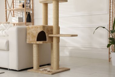 Büyük, rahat bir kedi ağacı. Kapalı alanda kazık çakıyor. Metin için boşluk