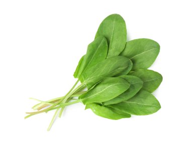 Taze yeşil kuş yaprakları beyaz, üst görünümde izole