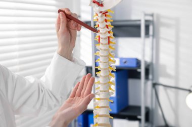 Doktor klinikteki insan omurga modeline işaret ediyor.