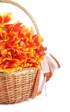 Hasır sepetteki güzel laleler bembeyaz