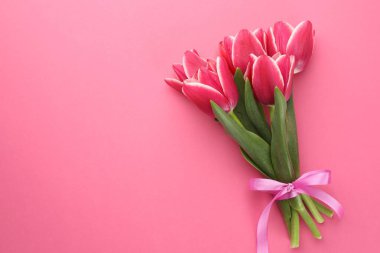 Pembe arka planda güzel laleler, üst manzara. Metin için boşluk