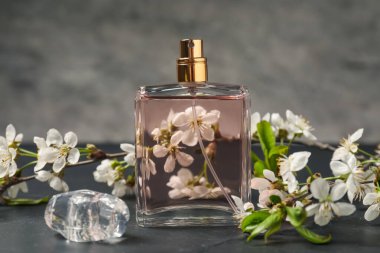 Bir şişe aromatik parfüm ve gri arka planda güzel çiçekli dallar, yakın plan.