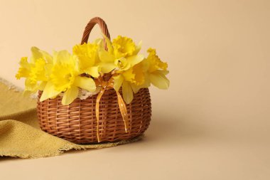 Bej arka planda sepetteki güzel nergisler. Metin için boşluk