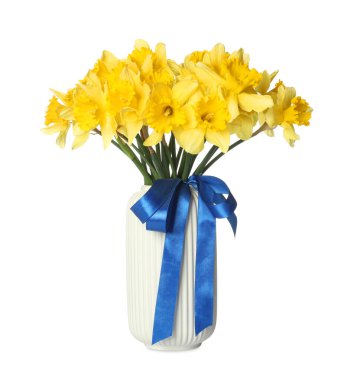 Beyaz vazoda sarı nergisler ve vazolar.