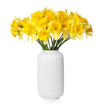 Beyaz vazodaki sarı nergisler