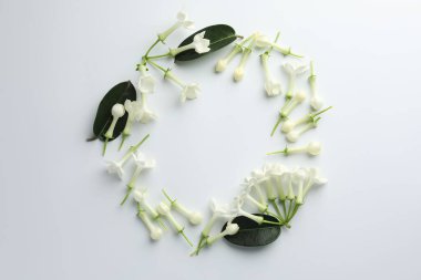 Beyaz arka planda yasemin çiçeklerinden yapılmış güzel bir çerçeve. Metin için boşluk