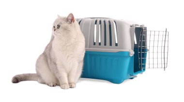 Sevimli kedi ve evcil hayvan taşıyıcısı beyaz üzerinde izole edilmiş.