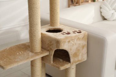 Büyük, rahat kedi ağacı, kazıkları içeride, yakın plan.