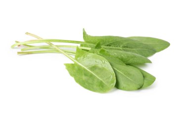 Taze yeşil kuş yaprakları beyaz üzerinde izole.