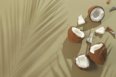 Taze hindistan cevizleri ve açık yeşil arka planda tropikal palmiyelerin oluşturduğu gölgeler düzleşir. Metin için boşluk