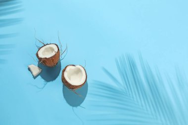 Açık mavi arka planda tropikal palmiye ağacından taze hindistan cevizi ve gölge, üst manzara. Metin için boşluk