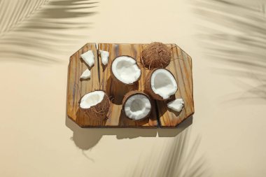 Taze hindistan cevizleri ve gölgeler bej arka planda tropikal palmiyeler tarafından oluşturuldu.