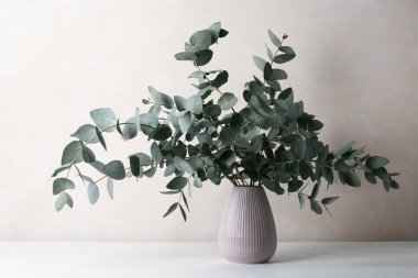 Açık gri duvarın yanındaki masada vazoda güzel okaliptüs dalları var.